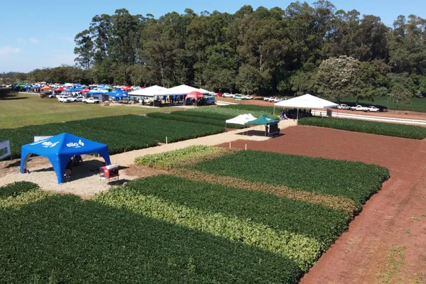 Cotrijuc e DDPA promovem Campo Tecnológico de Verão