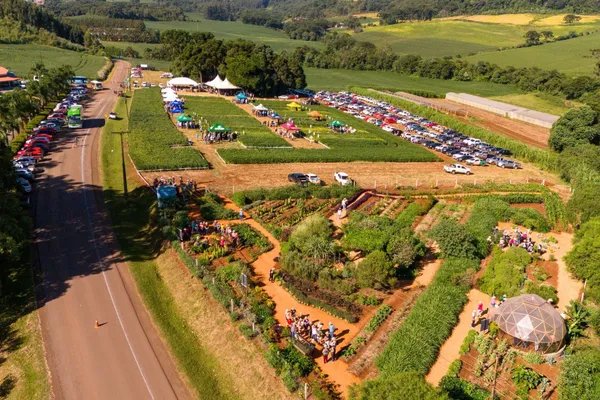 Coasa promove Dia de Campo em celebração aos 30 anos