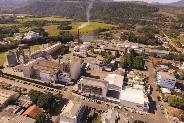 Dália amplia exportação de carne suína e fecha 2024 com crescimento