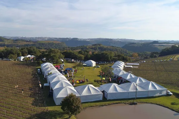 Sistema Ocergs destaca força feminina no Vitis Aurora 