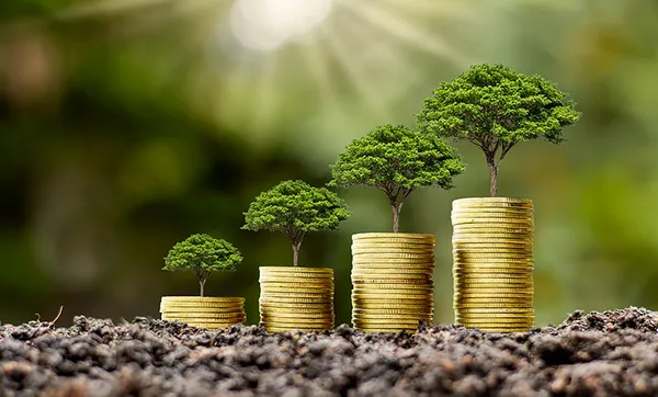 Sicredi emite a primeira Letra Financeira Pública Sustentável do Brasil