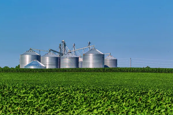 Governo amplia financiamento para cooperativas gaúchas 