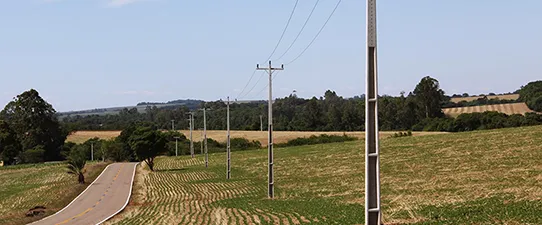 Cooperativas do RS estão entre as finalistas do Prêmio Aneel de Qualidade 2021