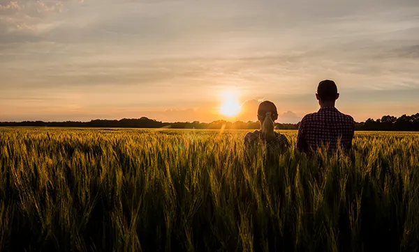 Sistema OCB apoia pesquisa que traz o olhar do brasileiro sobre o agronegócio