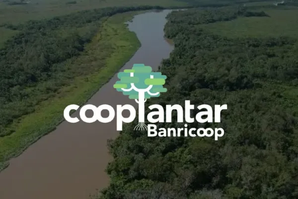 Banricoop promove mutirão ambiental com apoio do Sistema Ocergs 