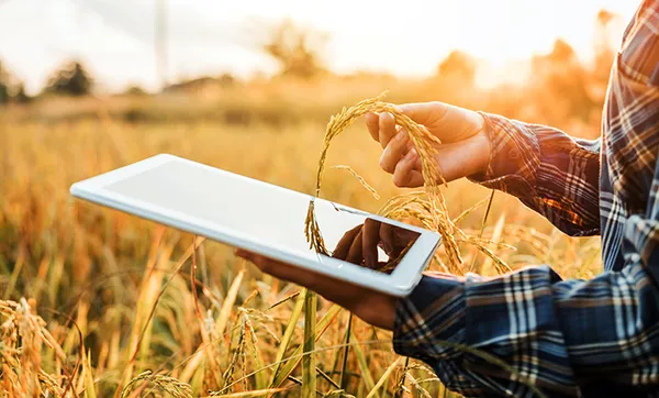 Conselho do Fust aprova programas para universalização da conectividade
