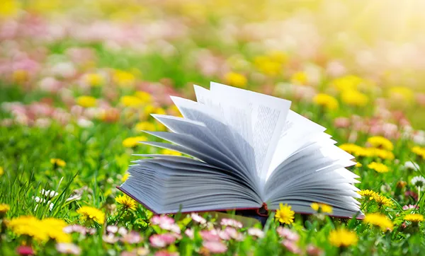 Colaboradores da Unimed Vale do Caí realizam ação de meio ambiente nas escolas