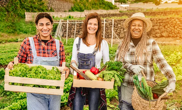 Prêmio reconhece iniciativas que promovem autonomia econômica de mulheres rurais