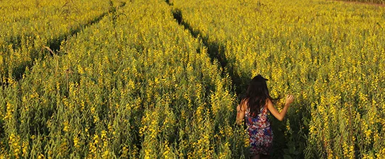 Otimismo atinge toda a cadeia do agronegócio