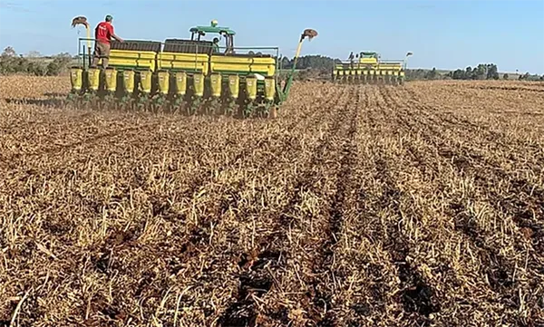 Relação de troca na soja e no milho deve favorecer produtor gaúcho