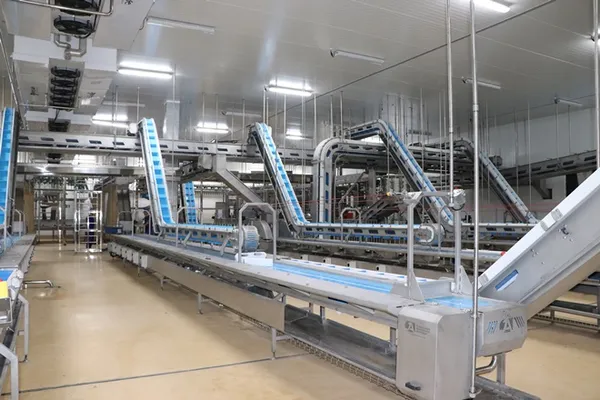 Dália inicia atividades no Complexo Avícola