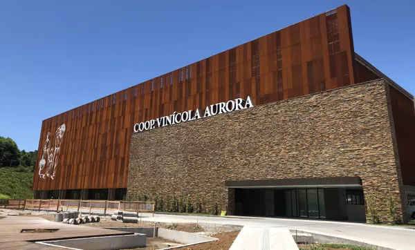 Vinícola Aurora celebra 89 anos com faturamento histórico de  R$ 558 milhões