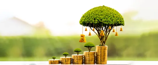 Estudo mostra capacidade do cooperativismo de Crédito de levar serviços financeiros a pequenos municípios