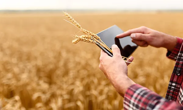 Cooperativas defendem universalização da internet no campo