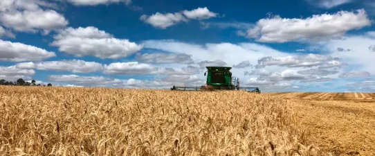 Influência do clima não permite aproveitamento de cotações históricas do ano