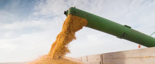Languiru recebe produção de grãos na Região dos Vales