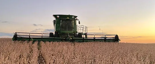 Custos das culturas de soja e milho sobem acima de 25% na próxima safra