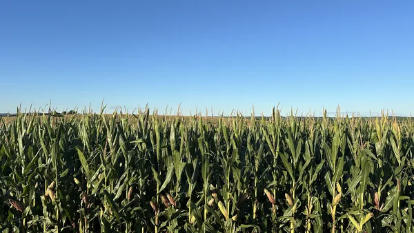 Contagem regressiva para a 12ª Abertura Oficial da Colheita do Milho do RS