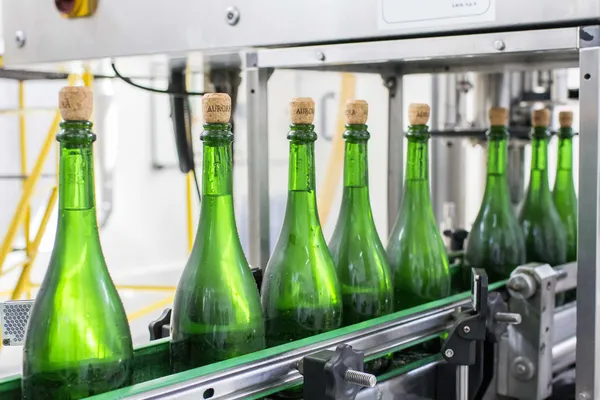 Com 7,3 milhões de garrafas vendidas, Cooperativa Vinícola deve fechar o ano com 20% de crescimento nos espumantes