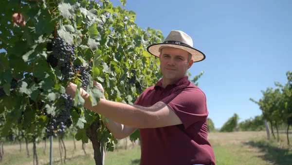  Nova Aliança projeta R$ 10 milhões em investimentos para 2026