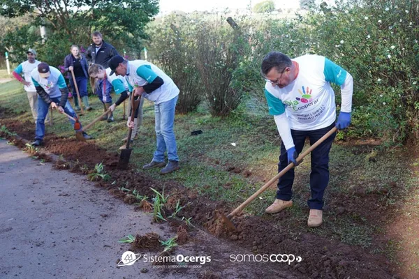 Colaboradores com camisetas do Dia C realizam plantio de flores em calçada, simbolizando o engajamento das cooperativas em ações de cuidado com o meio ambiente e responsabilidade social.