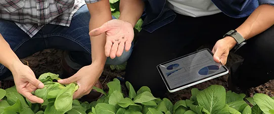Agricultura de Precisão da Cotriel já está em 50 mil hectares