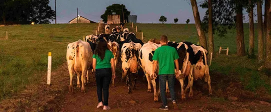 Programa Aprendiz Cooperativo concilia teoria com prática nas propriedades rurais