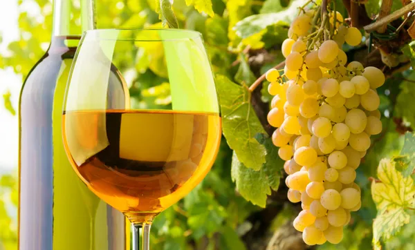 Espumante Aurora Moscatel Rosé é ouro na França