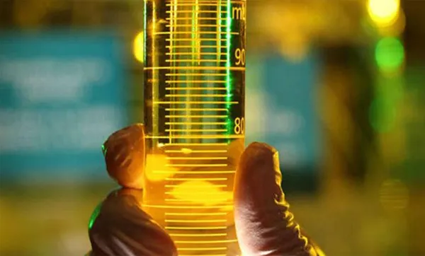 Regra para cooperativas acessarem programa de biodiesel deve ser revista em breve