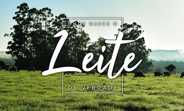 CCGL lança nova campanha para seus produtos lácteos