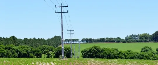 Ceriluz e Creluz são finalistas do Prêmio Aneel de Qualidade