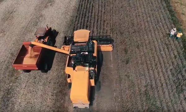 Coasa retrata seus 25 anos em quatro webséries