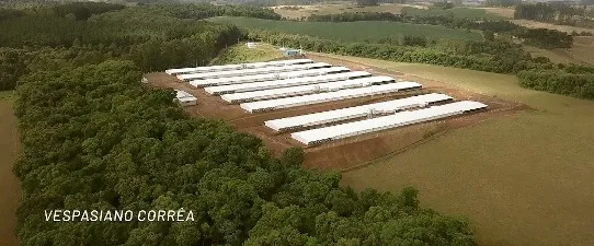 Condomínio Vespasiano Corrêa será o primeiro a alojar aves para abate em frigorífico da Dália Alimentos