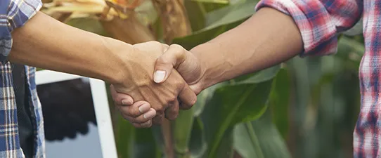 Cooperação em alta