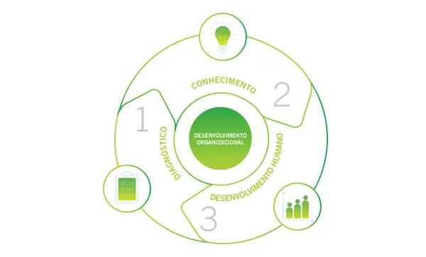 Sistema Ocergs realiza 181 devolutivas em 2021