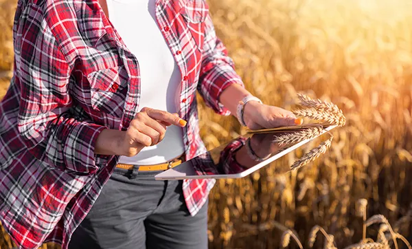Diferenciais no estilo de gestão fortalecem participação da mulher no agro