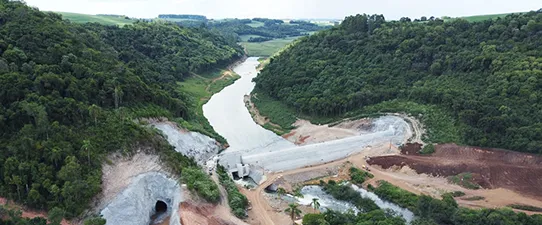 Fórum debate caminhos para consolidar crescimento da cultura do trigo