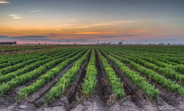 Projeto apresenta Inventário de Gases de Efeito Estufa