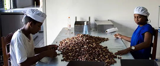 CAE vai debater direitos de trabalhadores em cooperativas