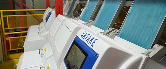 Cotrijal utiliza inteligência artificial na seleção das melhores sementes