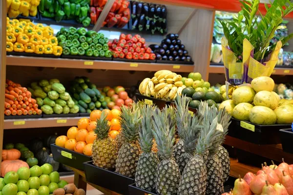 Languiru prepara terreno para produção própria de orgânicos