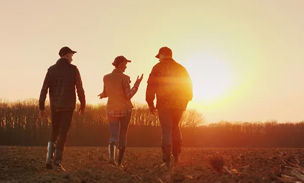 Sancionada, com vetos, lei de apoio à agricultura familiar