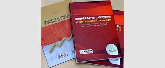 Livro valoriza estratégias de crescimento e diversificação para consolidação da Languiru