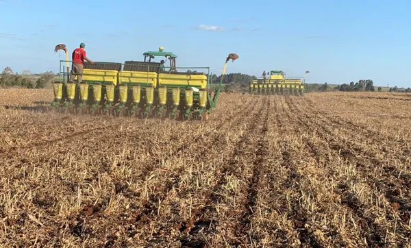 Custos da soja e do milho apresentam variação no início da safra