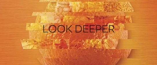 Feiras internacionais são oportunidades para cooperativas