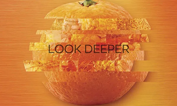 Feiras internacionais são oportunidades para cooperativas