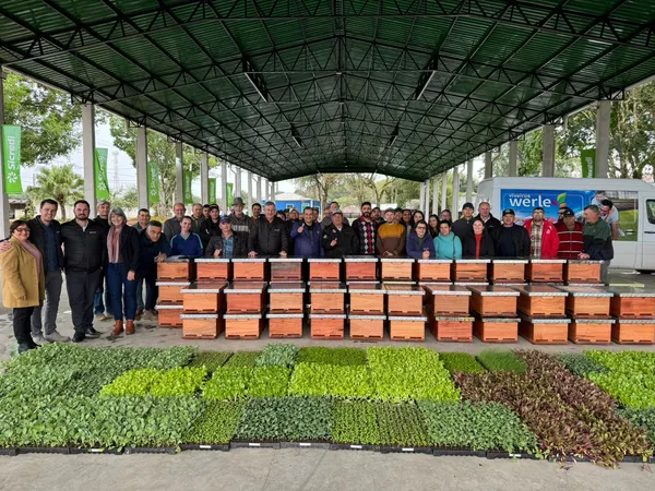 Grupo de colaboradores da Sicredi Vale do Rio Pardo em ação de apoio à agricultura sustentável com distribuição de mudas e caixas de abelhas