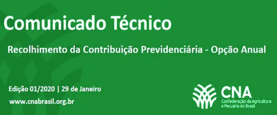 Base de incidência da contribuição previdenciária para 2020 é optativa