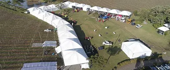 Vitis Aurora supera expectativas e reúne mais de 3,5 mil pessoas em Pinto Bandeira