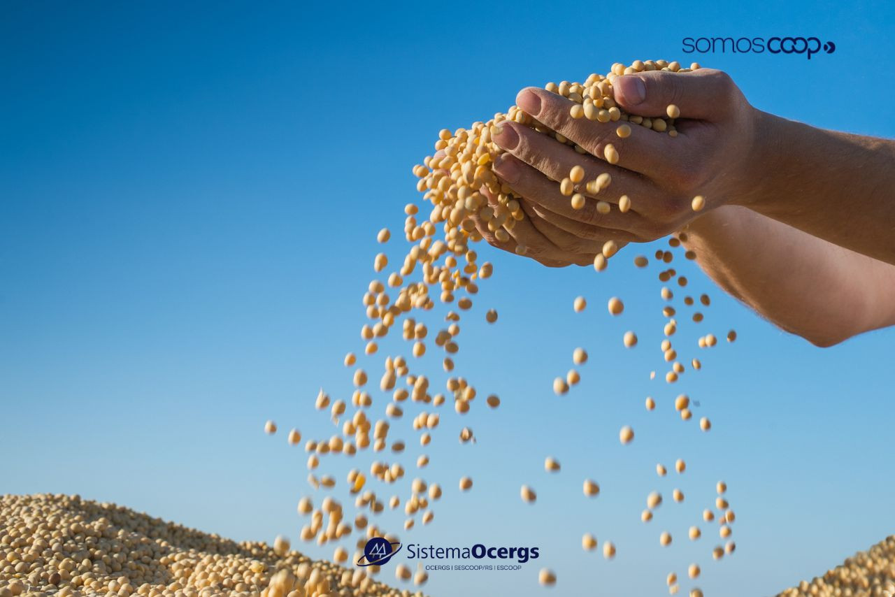 Mãos despejando grãos de soja em um monte, com céu azul ao fundo. A imagem transmite a força do agronegócio cooperativista, destacando a marca do Sistema Ocergs e o carimbo SomosCoop. 